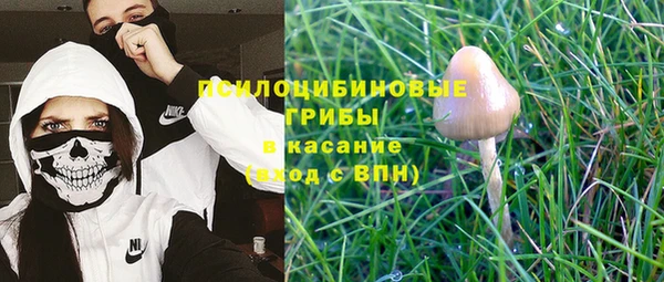 ГАЛЛЮЦИНОГЕННЫЕ ГРИБЫ Баксан